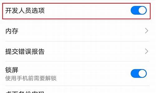 华为手机开发者选项在哪,怎么打开开发者选项_华为手机开发者选项在哪里?